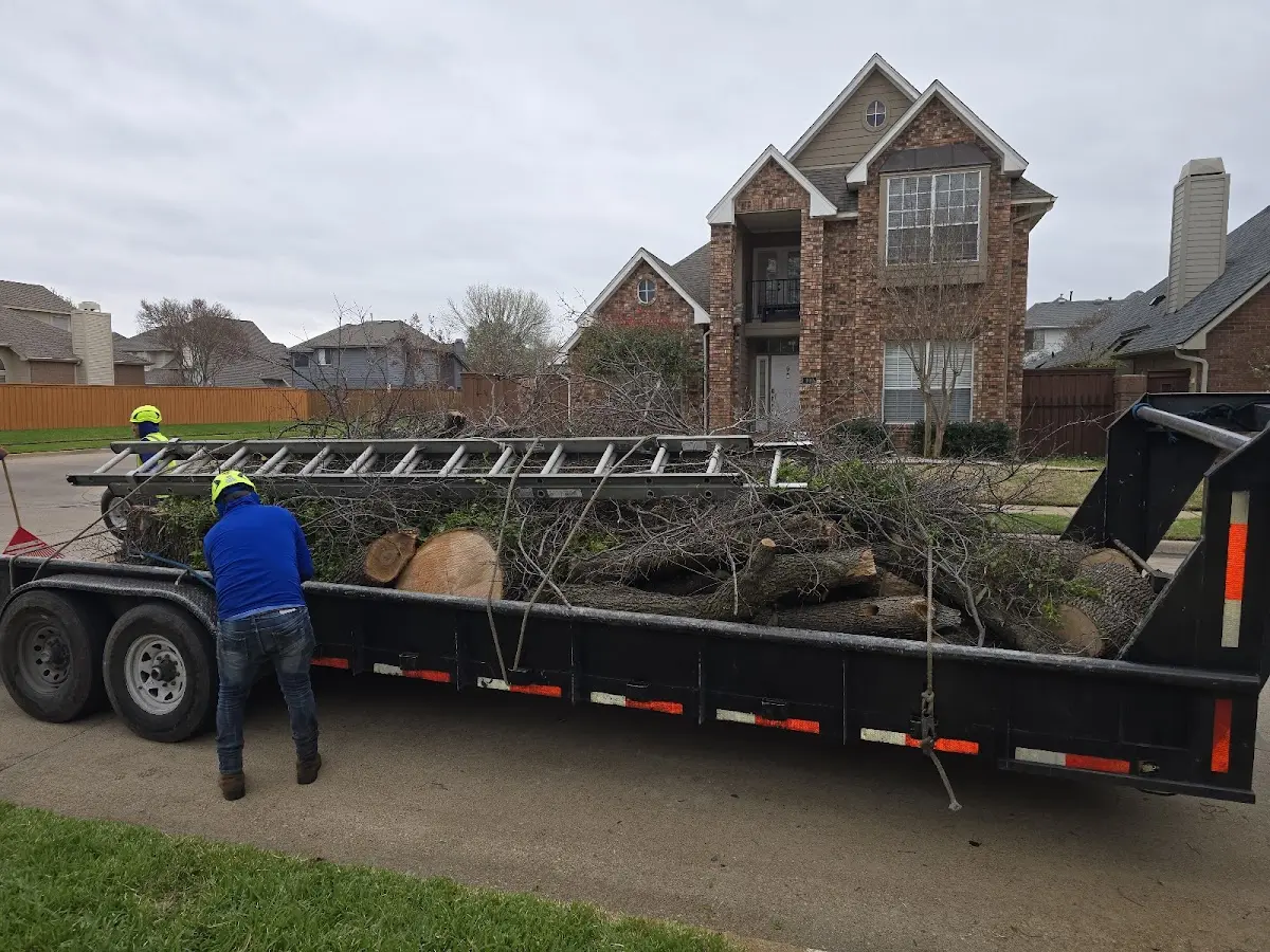 Expert Lot Clearing with proper safety equipment in Wetmore